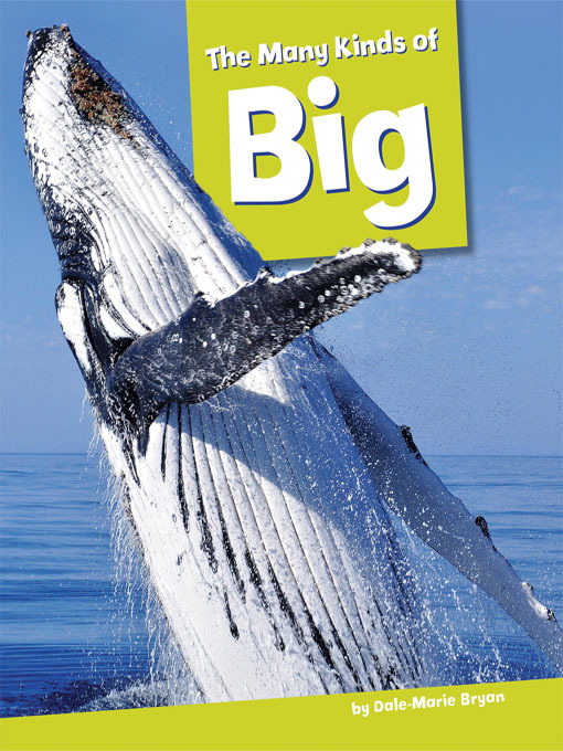 Title details for The Many Kinds of Big by Dale-Marie Bryan - Available